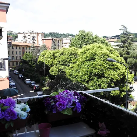 Le Stelle Di Martina- Affittacamere --3
